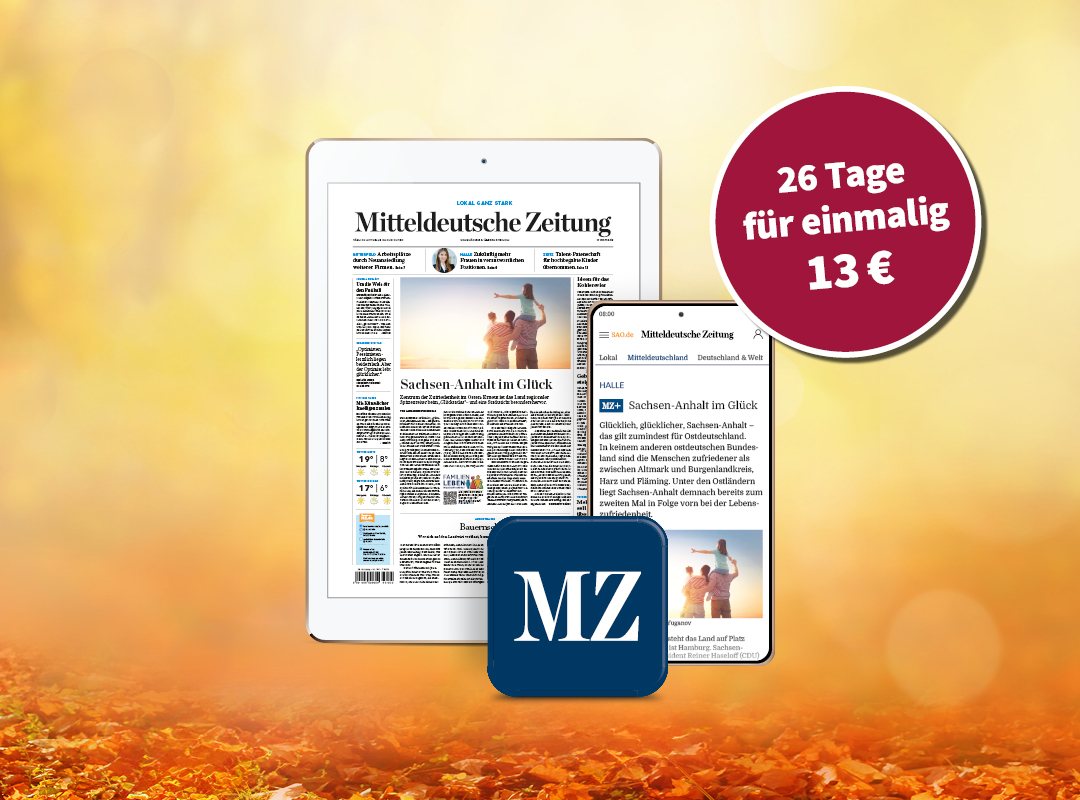 Dies ist ein Bild von 26 Tage für 13 Euro lesen