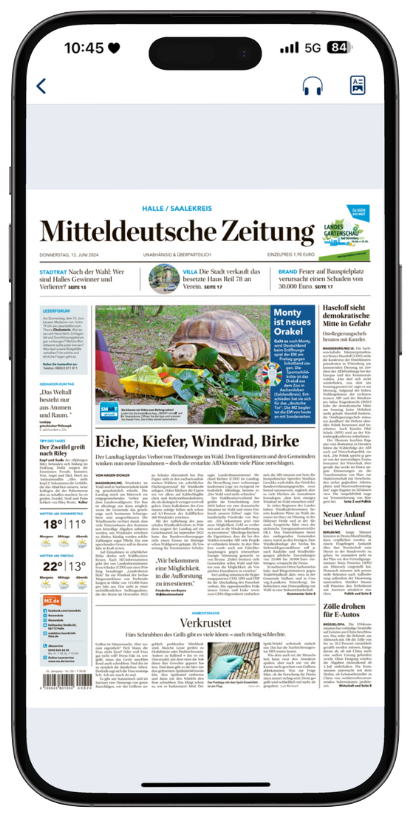 Zeitungsansicht